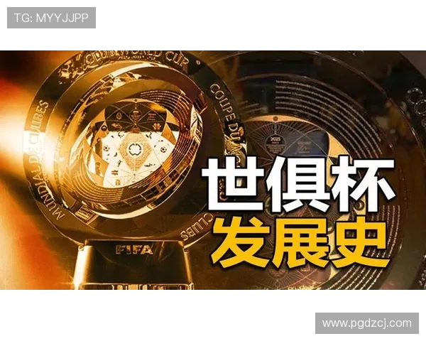 PG娱乐电子游戏官网最新版本安全性分析与常见问题解决方案推荐