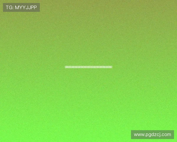 世界杯荷兰瑞典控球战术分析：两队在比赛中的控球策略与战术布局揭秘
